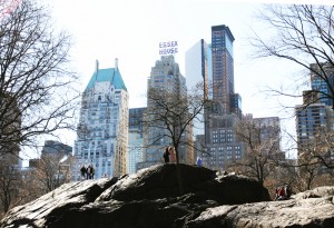 Essex House from Central Park