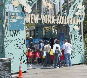 Entrance - New York Aquarium