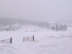 Snow on Farm Wilmington Vermont