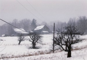 Snowy Farm